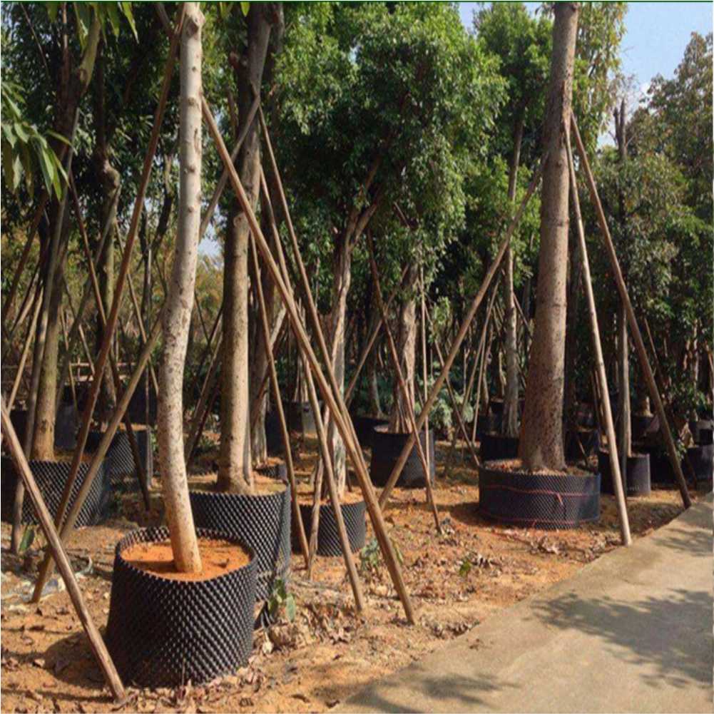 Grow Container Garden Tree Bon - Nursery ulasan dan harga