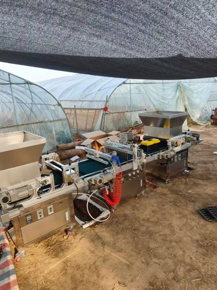 Greenhouse Vegetable Nursery M - Nursery ulasan dan harga